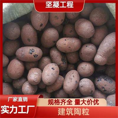 堅凝